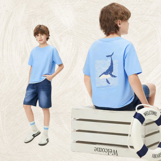 Shark Series  Junior Kit