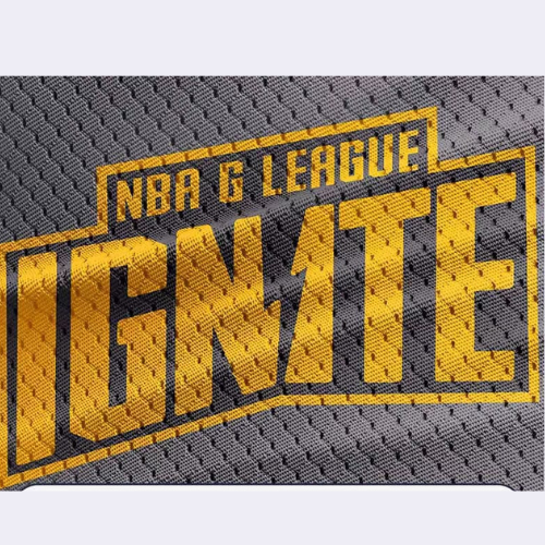 GRIZZLES   Series Basketball Kit